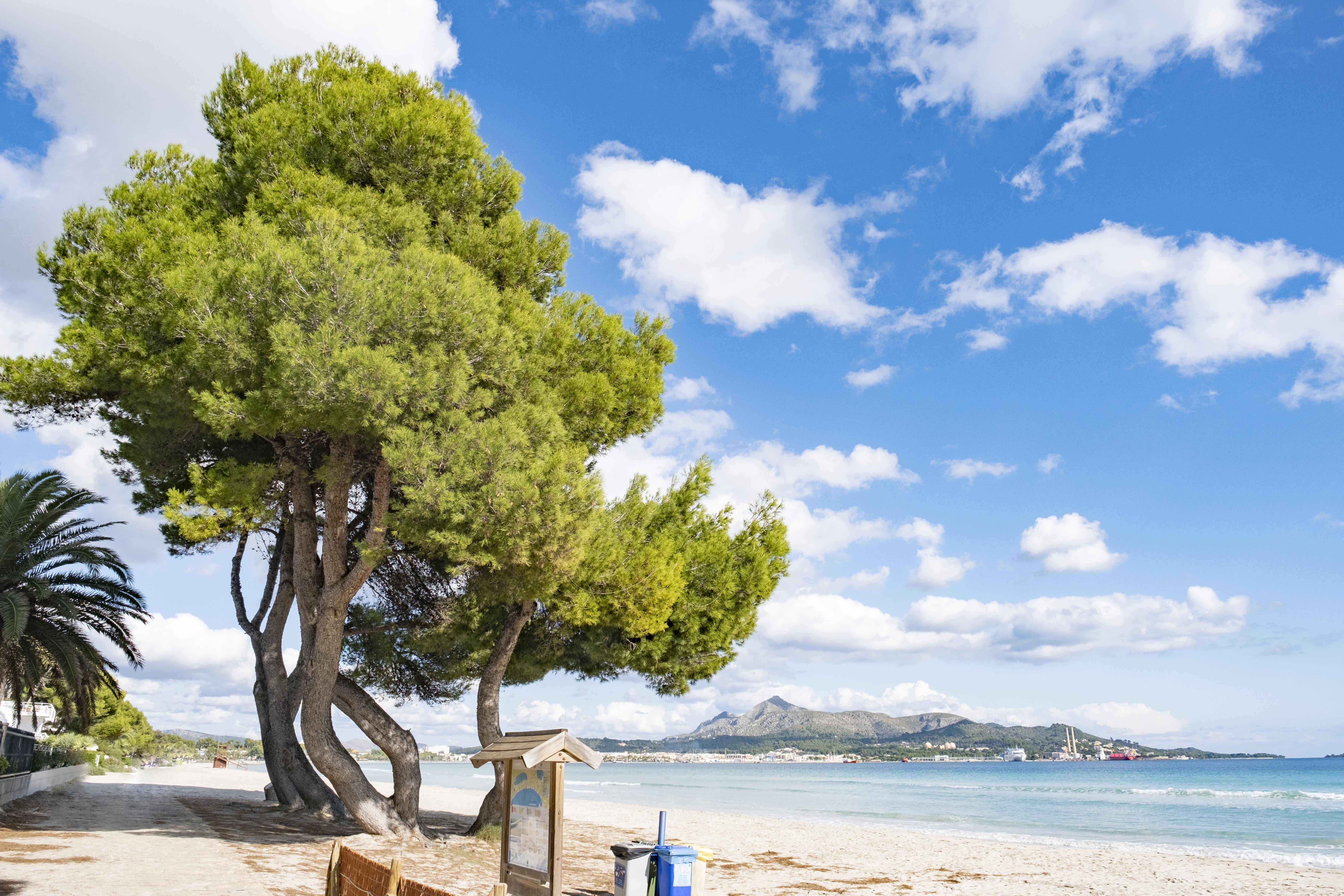 Eix Platja Daurada Hotel & Spa Can Picafort  Luaran gambar